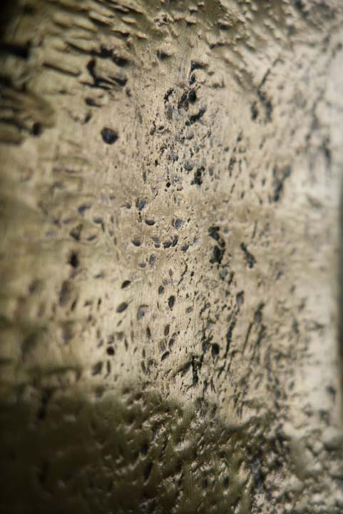 Chloe Desrousseaux, Atelier, matiere, Entendre MATIERE parler, transparence albatre, cire rouge, ecorce bouleau, sculpture, pierre, bronze