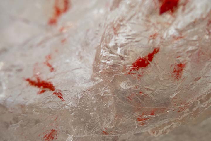 Chloe Desrousseaux, Atelier, matiere, Entendre MATIERE parler, transparence albatre, cire rouge, ecorce bouleau, sculpture, pierre, bronze