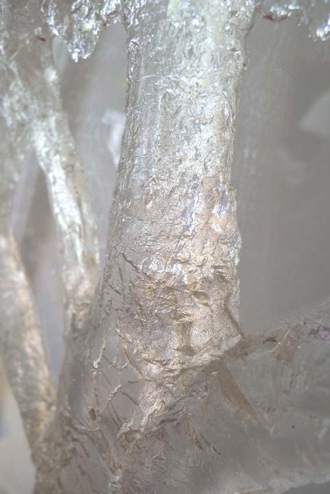 Racine, branche, racine branche, sculpture resine, resine, sculpture plexiglass, plexiglass, s’enraciner, touver ses racines