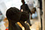 Chloe desrousseaux, chloé desrousseaux, atelier boulogne, atelier boulogne billancourt, atelier sculpture, atelier cire, atelier 92100
