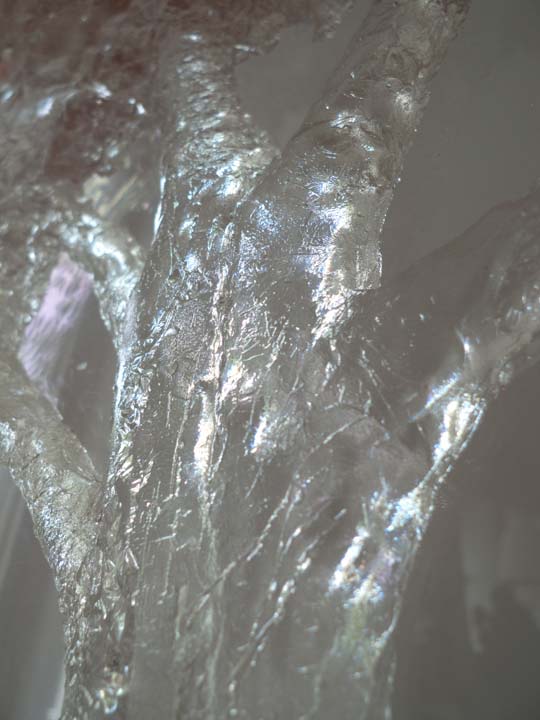 Racine, branche, racine branche, sculpture resine, resine, sculpture plexiglass, plexiglass, s’enraciner, touver ses racines