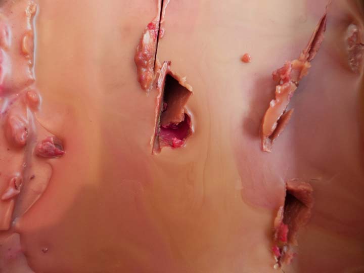 Chloe Desrousseaux, Atelier, matiere, Entendre MATIERE parler, transparence albatre, cire rouge, ecorce bouleau, sculpture, pierre, bronze