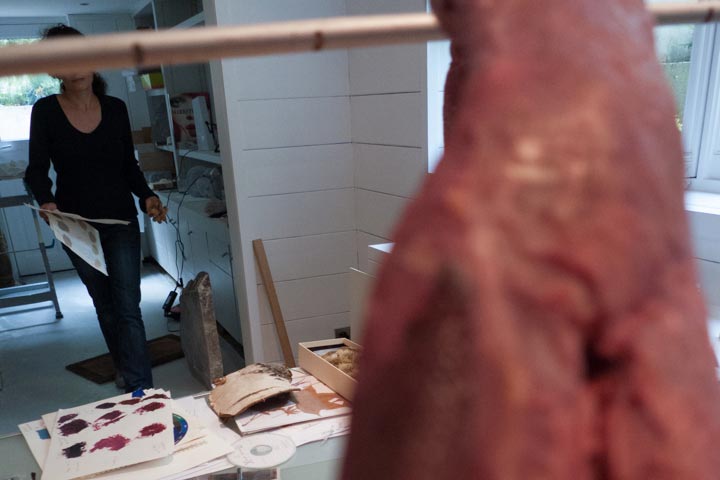 Chloe Desrousseaux, Atelier, matiere, Sculpture, Entendre MATIERE parler, transparence albatre, cire rouge, ecorce bouleau, sculpture ecorce