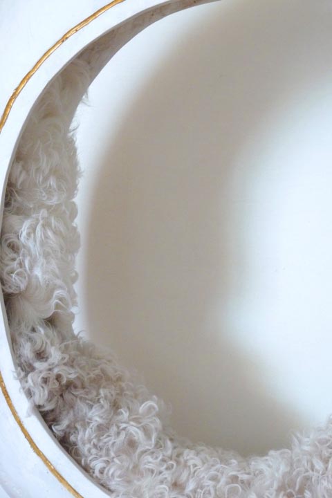 Chloe desrousseaux, toison d’or, sculpture plâtre, peau de mouton, peau, sculpture peau, toison femme, or plâtre, douceur sculpture, sculpture